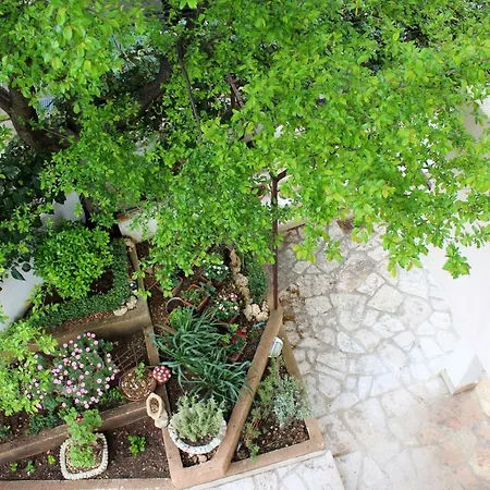 Apartament Pihler *